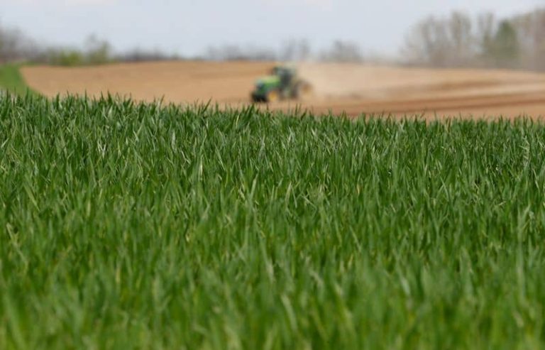 Why the EU is restricting grain imports from Ukraine