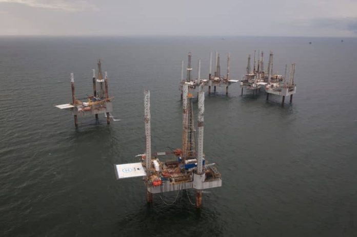 तेल कंपनियों ने व्हेल की रक्षा के लिए खाड़ी नीलामी में बदलाव को लेकर अमेरिका पर मुकदमा दायर किया
